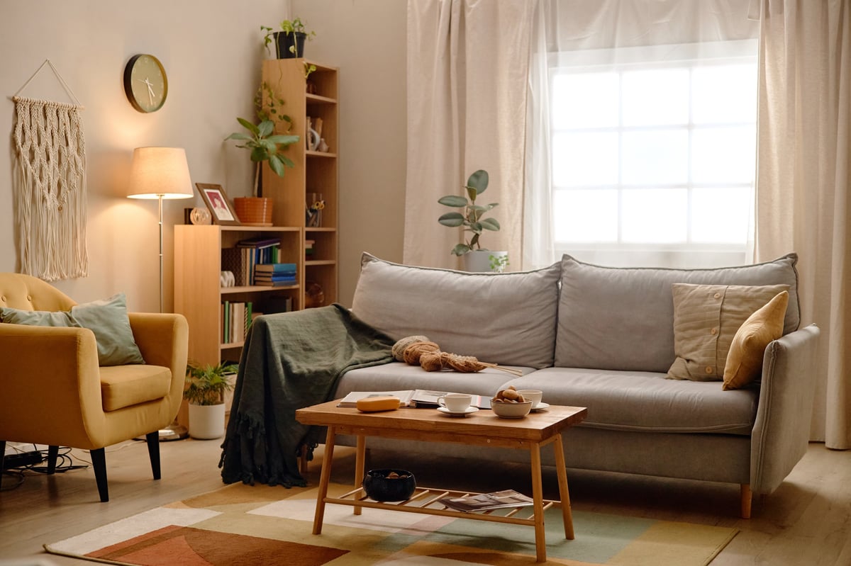 Wide view of a living room with sofa, armchair, plants and window light